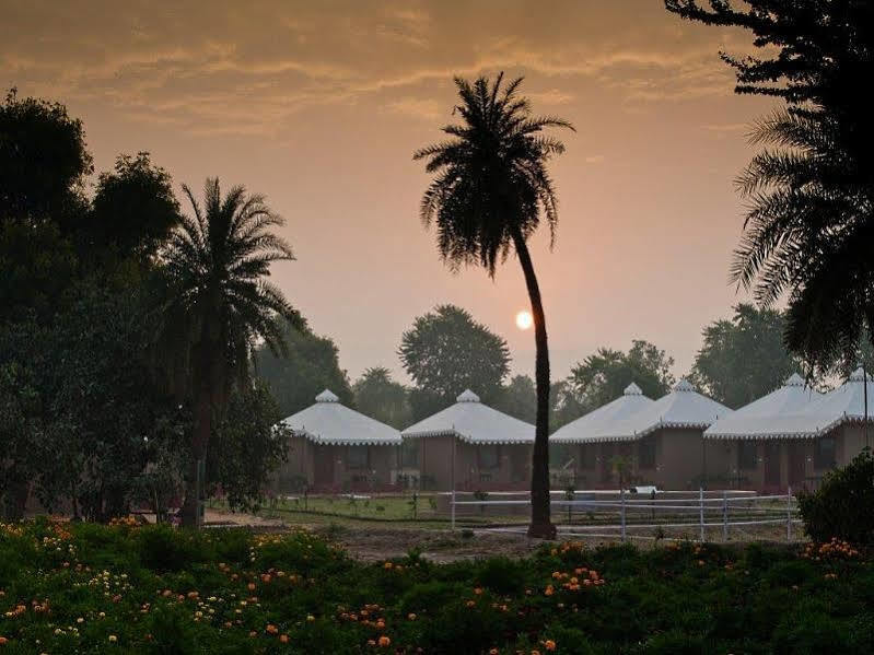 Lohana Village Resort Pushkar Exteriör bild